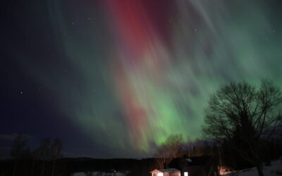 Faszination Polarlicht in Hälsingsland